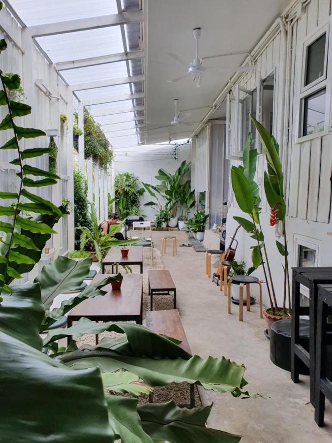 Hostel The Park Society Chiang Mai Zewnętrze zdjęcie