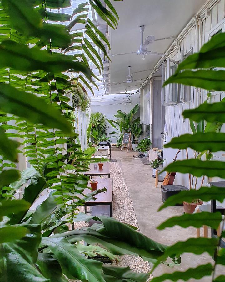 Hostel The Park Society Chiang Mai Zewnętrze zdjęcie